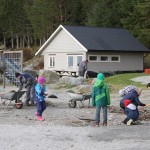 Dugnad - steinplukking